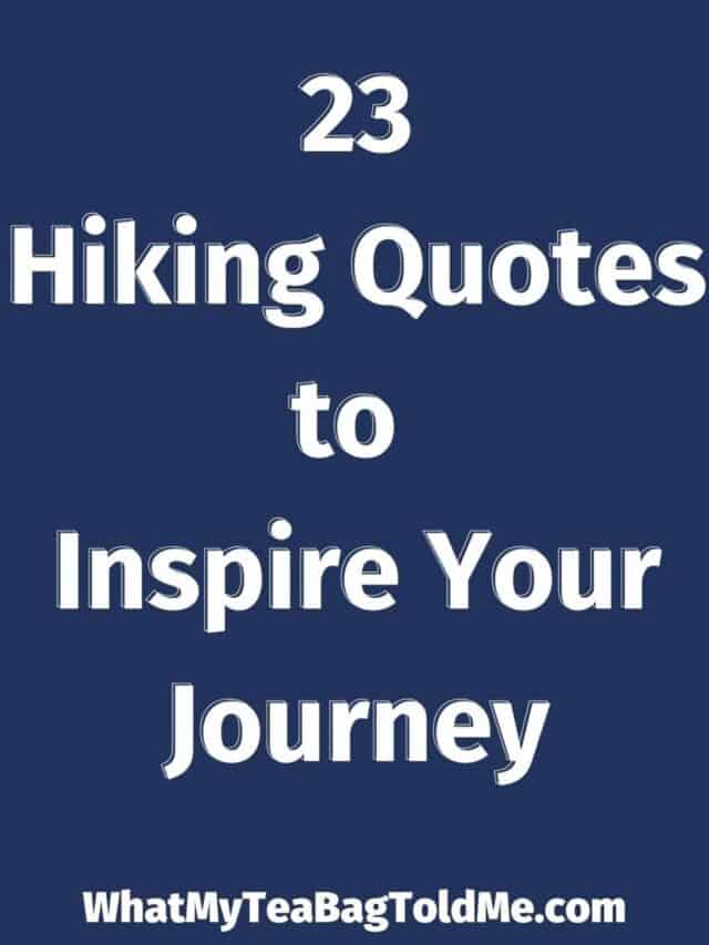 23 Hiking Quotes
